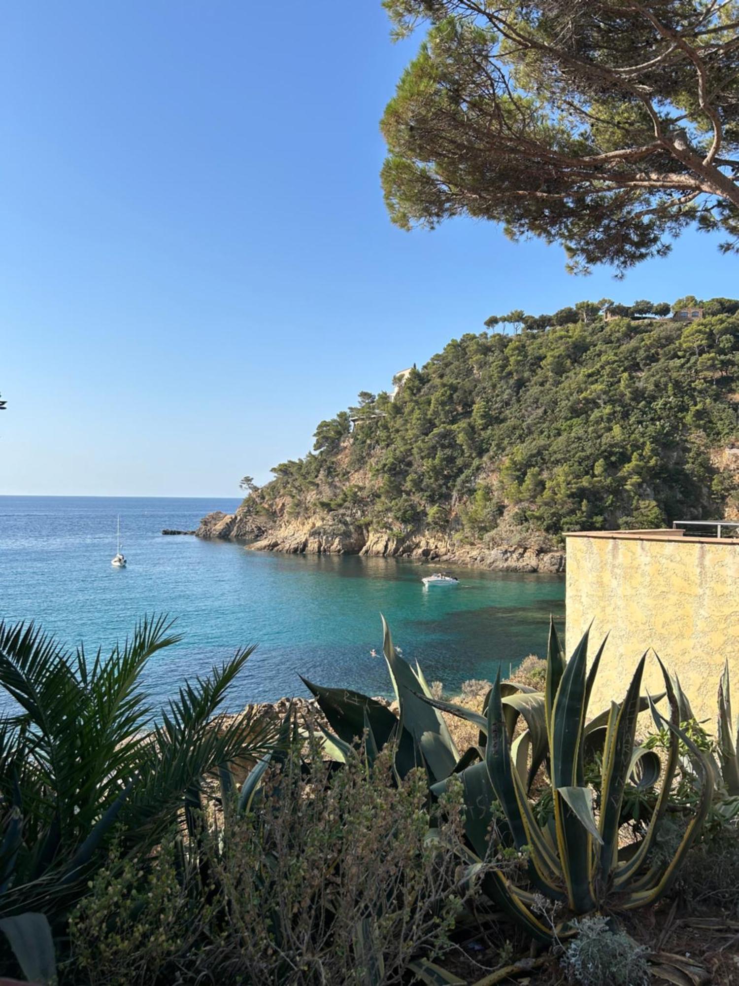 Apartmán La Calypso Cavalaire-sur-Mer Exteriér fotografie